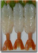 AKA EBI (AGENTINE SHRIMP)