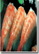 SUSHI EBI