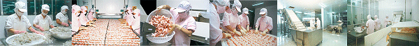 seaprimexco shrimp processing factory staff