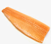 Atlantic Salmon, Salmo salar