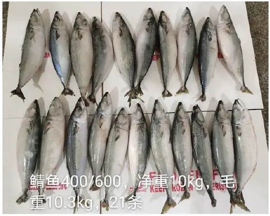 Pacific mackerel - Scomber japonicus - Origin产地: China - Size规格:   400-600g  300-400g  300-500g