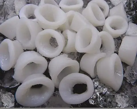 Toba Surimi - Squid Products - Frozen Squid Rings, IQF, Raw, Cooked, Cleaned squid rings