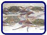 swimmer crab, spanner crab, australian seafood export suppliers