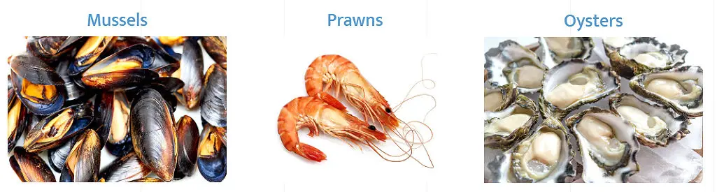 Prawns - King Prawns (Penaeus latisulcatus), Tiger Prawns (Penaeus esculentus), Banana Prawns (Penaeus merguiensis), blue mussels, sydney rock oysters, pacific oysters