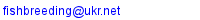 Email Fortuna XXI