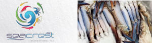 Seacrest International UAE - specialized processors and exporters of premium seafood products, including Blue Crab, Blue Swimming Crab, Octopus & Sea Frozen Wild Shrimps