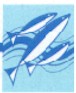 NSWFishlogo.jpg (3919 bytes)