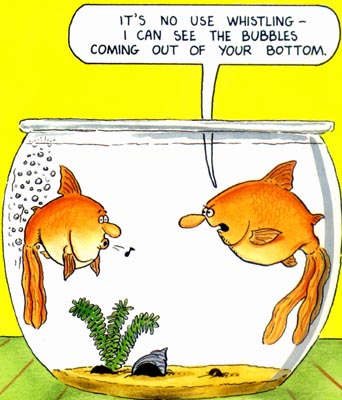 Fishbowl joke. Its no use whistling, I can see the bubbles coming out of your bottom