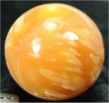 photo of bailer shell pearl, melon shell pearl