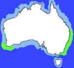 map showing where wirrah cod fish are found in australian waters