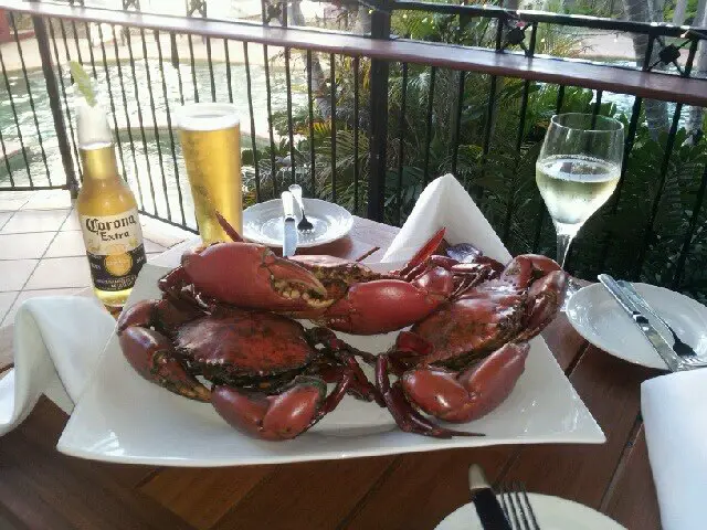 3 cooked mud crabs on a plate for dinner, wine and beer to go with it