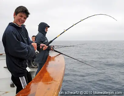 Catching Albacore Tuna