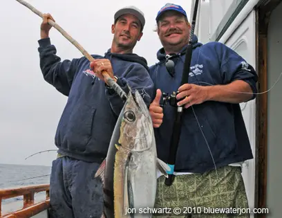 Angling for albacore tuna