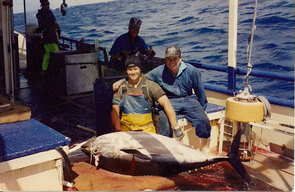 commercial fishing boat, bigeye tuna on fishing boat