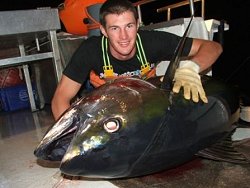 Huge yellowfin tuna photo, tuna pics, yellowfin tuna, yellow fin