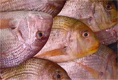 Bream at fish market, cooking bream, recipes for bream