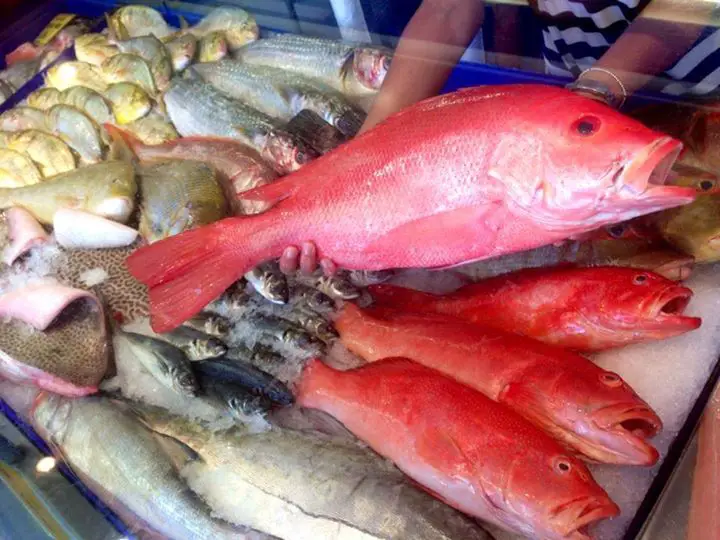 fresh reef fish, fresh fish display, snapper, reef cod, coral trout