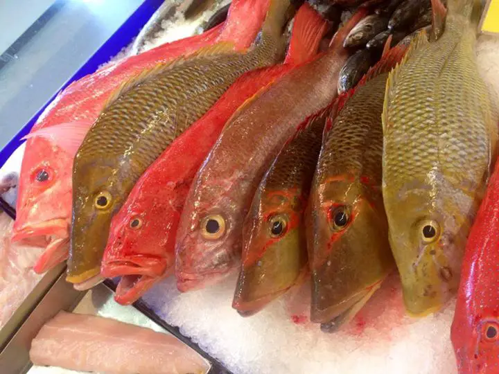 yellow sweetlip, spangled emperor fish, coral trout, red reef fish, fresh reef fish