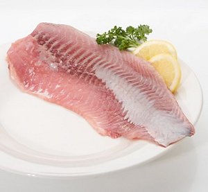 carp fillet, fillet of carp, european carp fish fillet