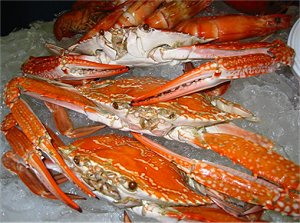 Cooked Blue Swimmer Crabs with Prawns on Ice