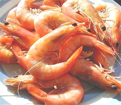 Cooked Ocean King Prawns