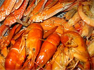 Cooked Yabbies, prawns, crabs