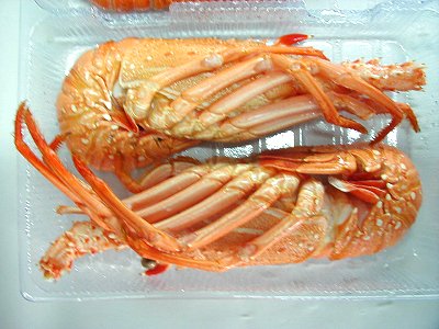 2 cooked rock lobsters packed for retail sale