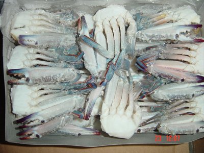 cut crab, blue swimming crab cut, swimming crab cut sections, cut sand crab