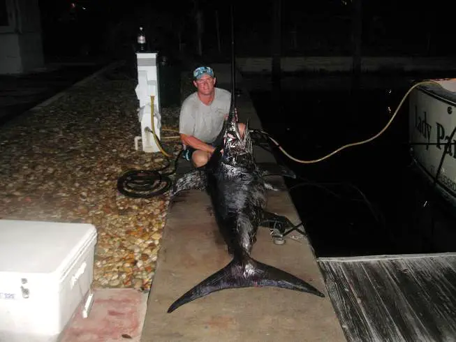Night fishing for swordfish