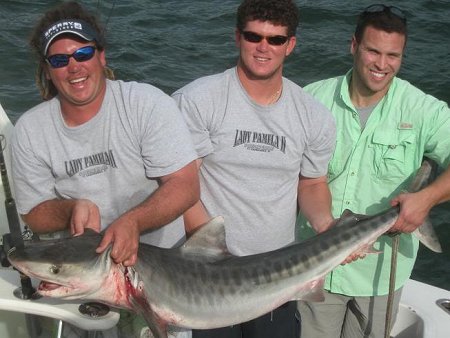 Tiger Shark caught in Fort Lauderdale, Florida by Lady Pamela II Sport Fishing Charters