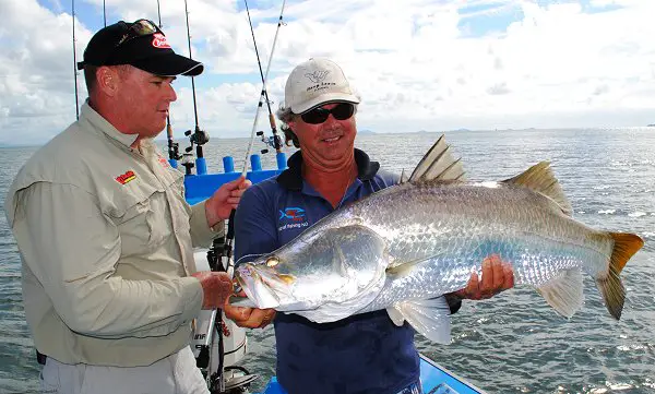 Australian Barramundi - fishing for Barramundi in Australia Photos & Info