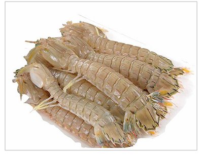 Mantis Shrimp, Huazhou Aquatic Products Co.