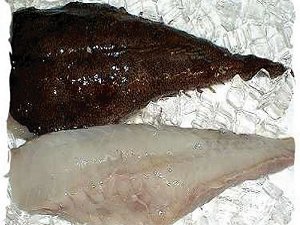 monkfish or stargazer fillets, monk fillets