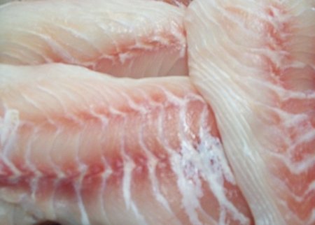 Photo of Red Emperor Fillet