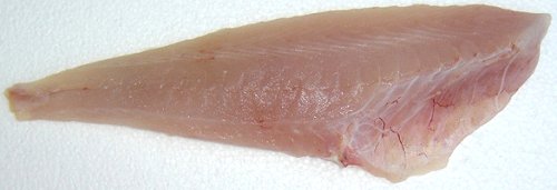 Red Gurnard Fillet