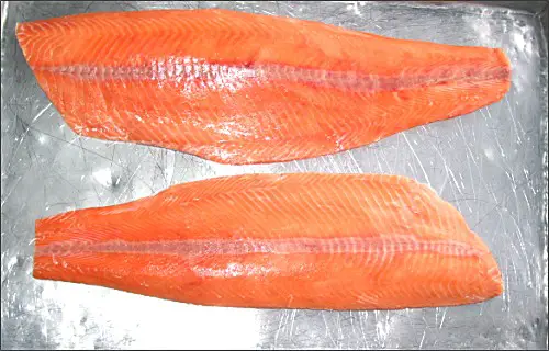 Atlantic salmon fillets, salmon, fillets of salmon