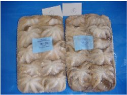 block frozen octopus