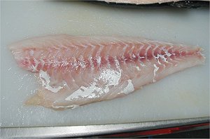 Sweetlip fillet, fillet of sweetlip fish