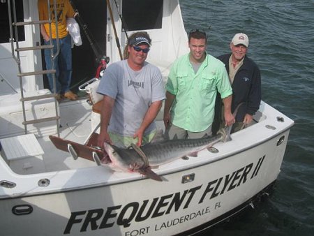 Tiger Shark caught in Fort Lauderdale, Florida by Lady Pamela II Sport Fishing Charters