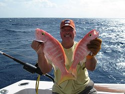 Yellow Eye Snapper action