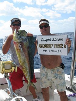 mahi mahi dolphinfish catch