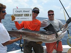 Sailfish capture