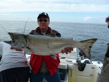 Harry of Vancouver fished with guides Doug and Wayne and did extremely well fishing the surfline of Vancouver Island.  Harry landed this Chinook Salmon fishing on this day with guide Doug.  The fish hit an anchovy is a UV green Rhys Davis Teaser Head