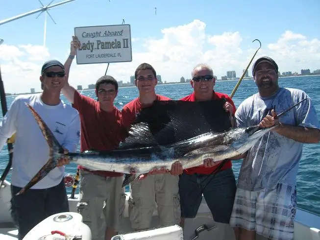 Sailfish - florida usa