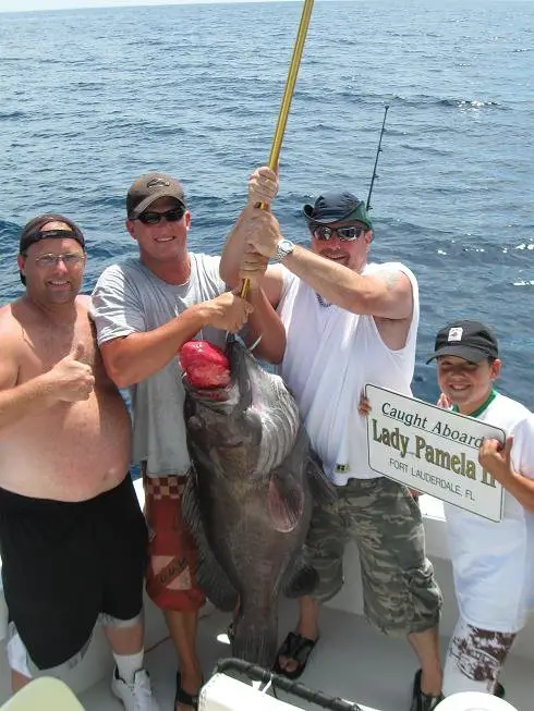 Groupers flock to a well presented bait sitting on the bottom 