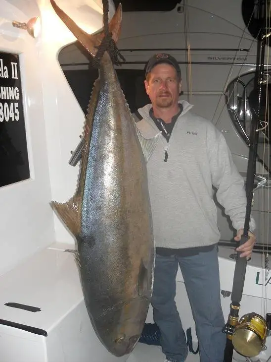 Amberjack caught on shipwreck