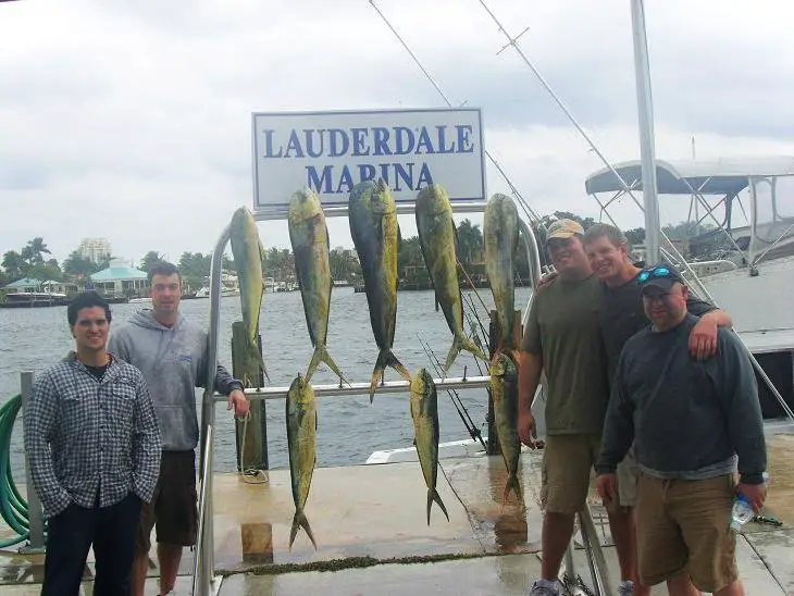 Mahi Mahi catch for the day