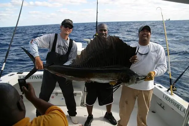 Fishing offshore for sailfish in florida