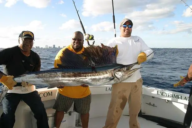 Sailfish capture florida - lady pamela II