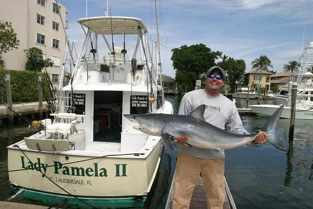 The Shortfin Mako Shark is the fastest shark and one of the fastest fish.